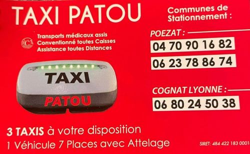 Logo Taxi Patou