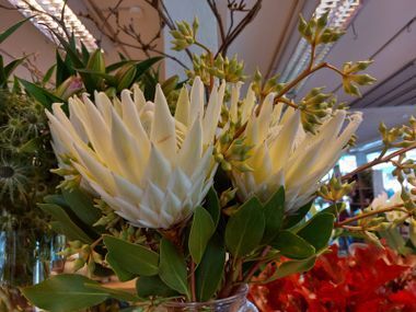 Eine Frau stellt Blumen zusammen.