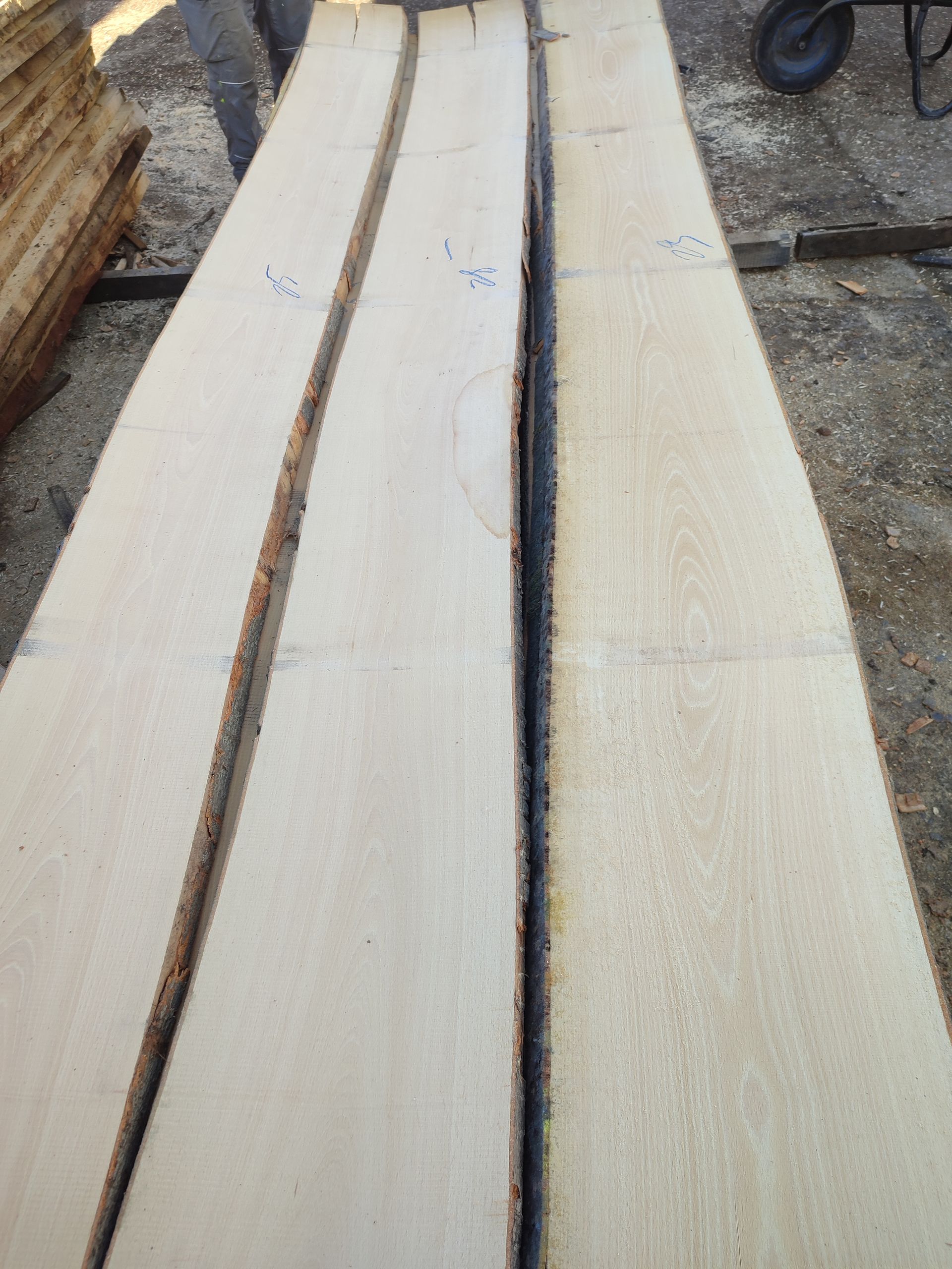 Drei helle Holzbretter mit rauen Kanten, die im Tageslicht im Freien nebeneinander liegen.