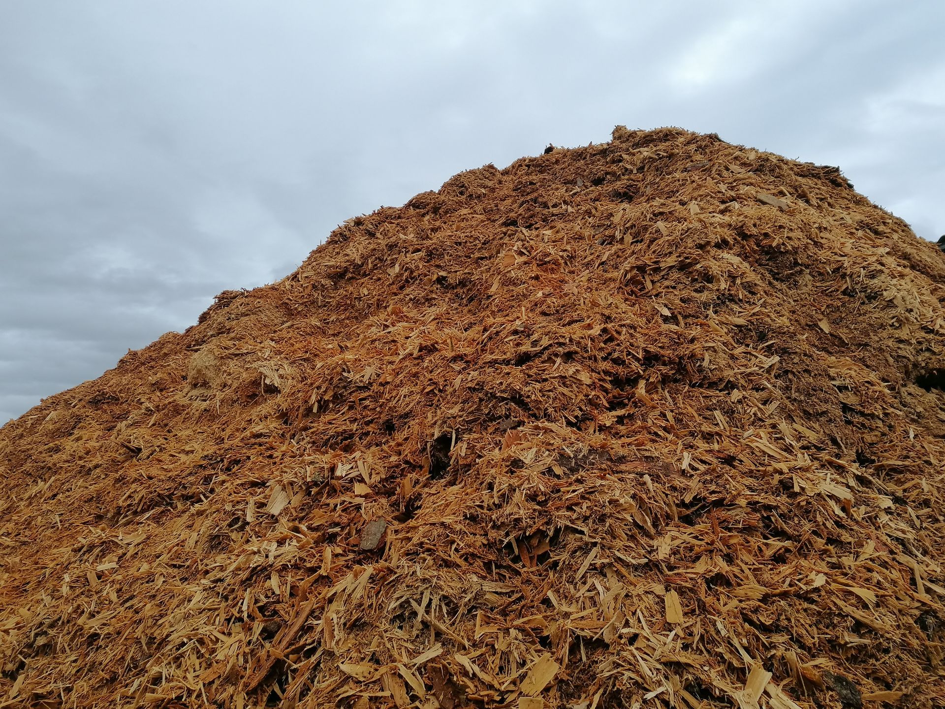 Großer Haufen brauner Holzspäne unter einem bewölkten Himmel.