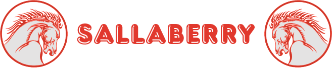 Logo du Garage Sallaberry