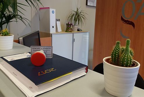 Un cactus está sentado en un escritorio al lado de un libro.