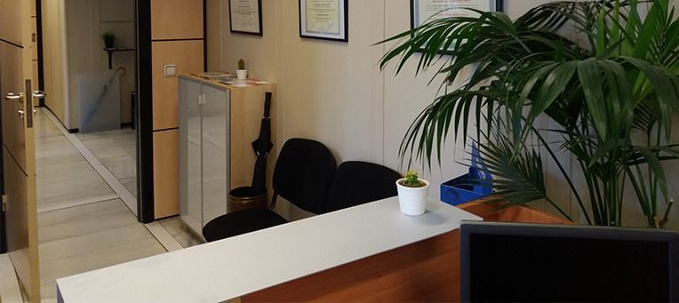 Un área de recepción con un escritorio, sillas, una planta en maceta y una computadora.