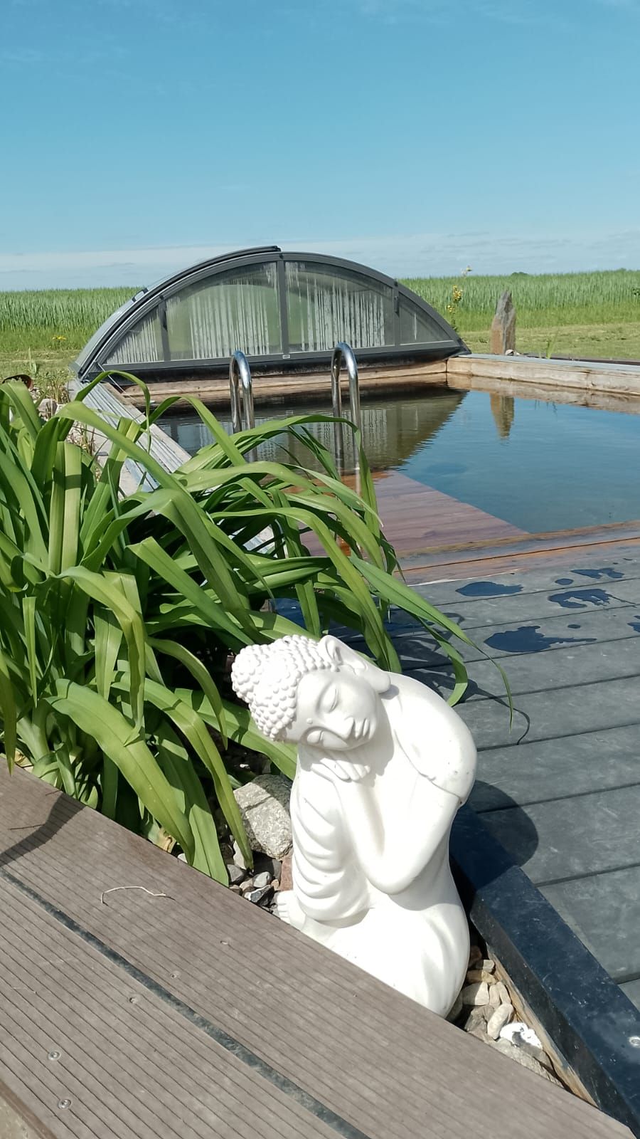 Außenpool mit gewölbter Abdeckung, Engelsstatue, Grünflächen und blauem Himmel.