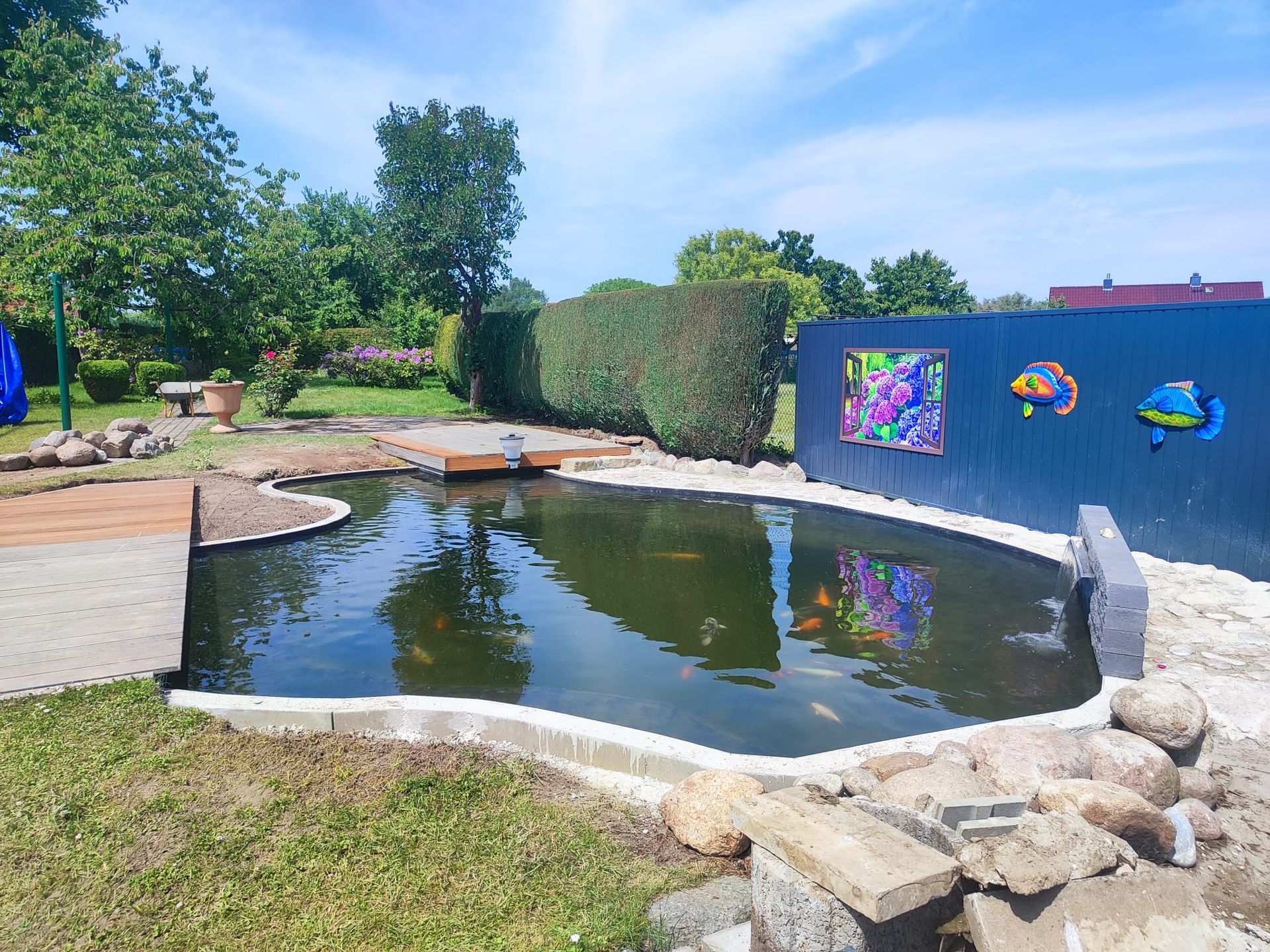 Koiteich in einem Hinterhof mit dekorativer Fischkunst an einer dunkelblauen Wand.