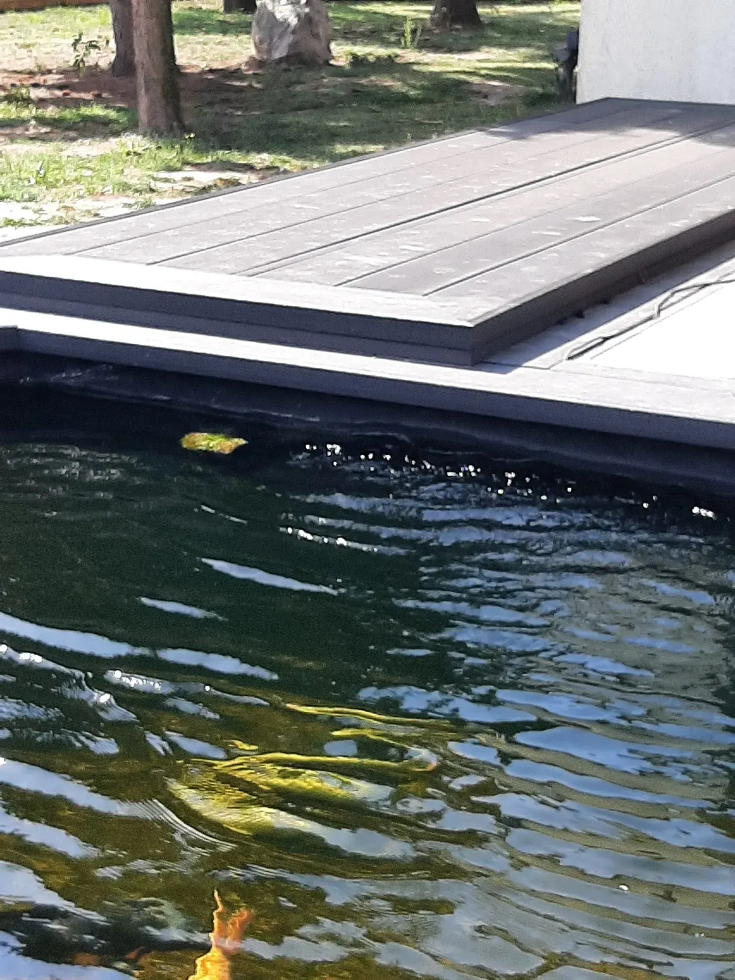 Holzdeck über dunklem Wasser mit Wellen, einige grüne Algen sichtbar.