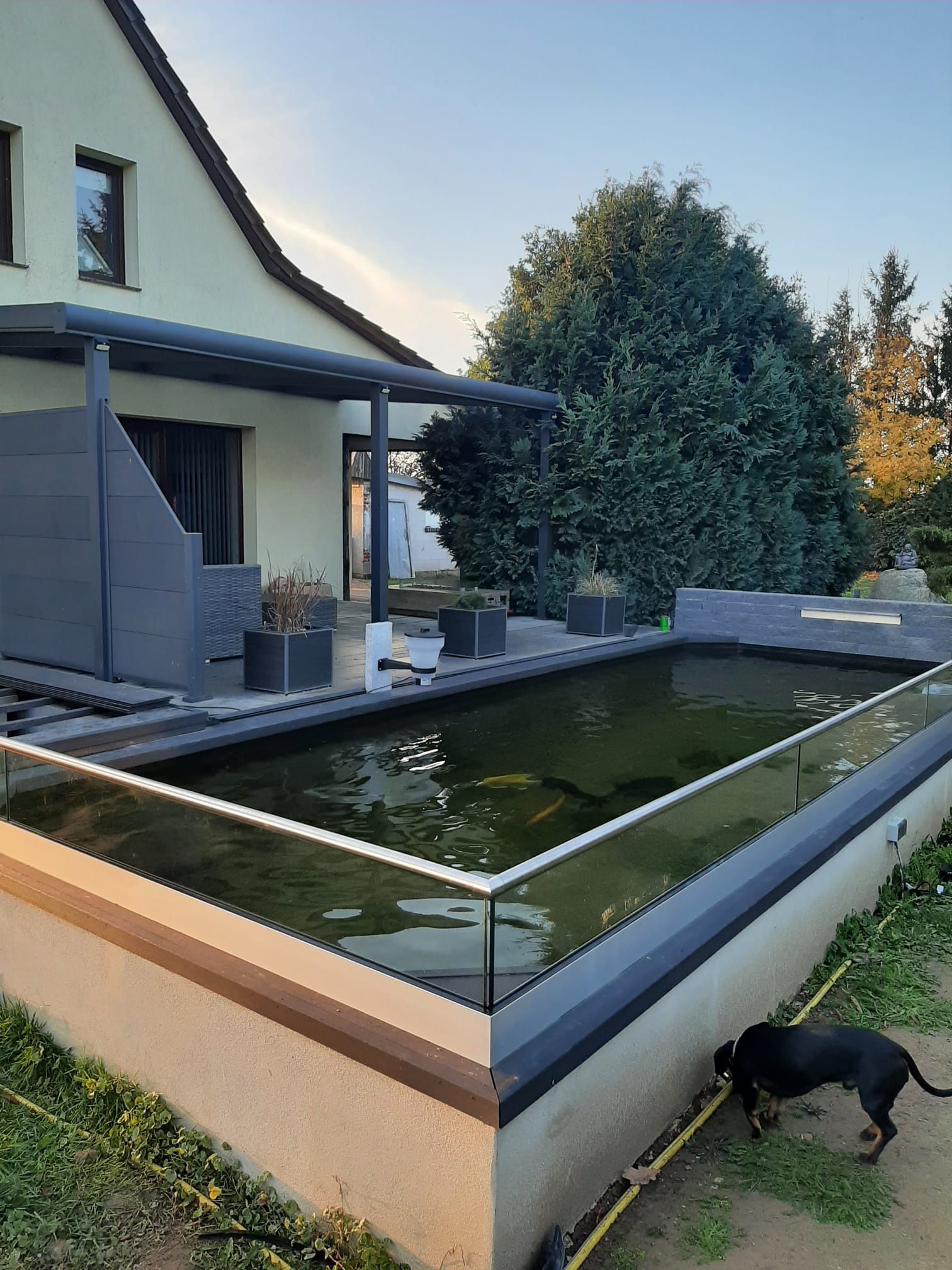 Hinterhof mit einem rechteckigen Teich und einem Hund. Im Hintergrund ist ein Haus mit Terrasse zu sehen.