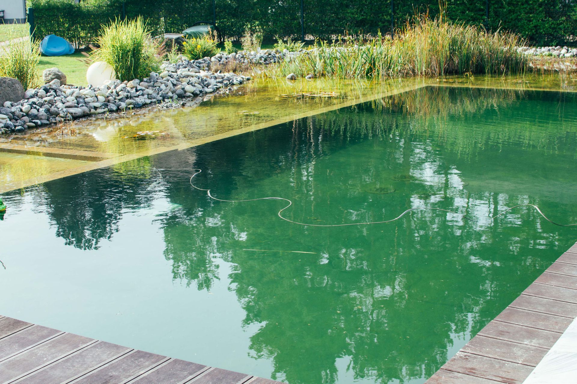 Rechteckiger Naturpool, grünes Wasser, Holzrand, umgeben von Pflanzen und Felsen, Bäume spiegeln sich darin.