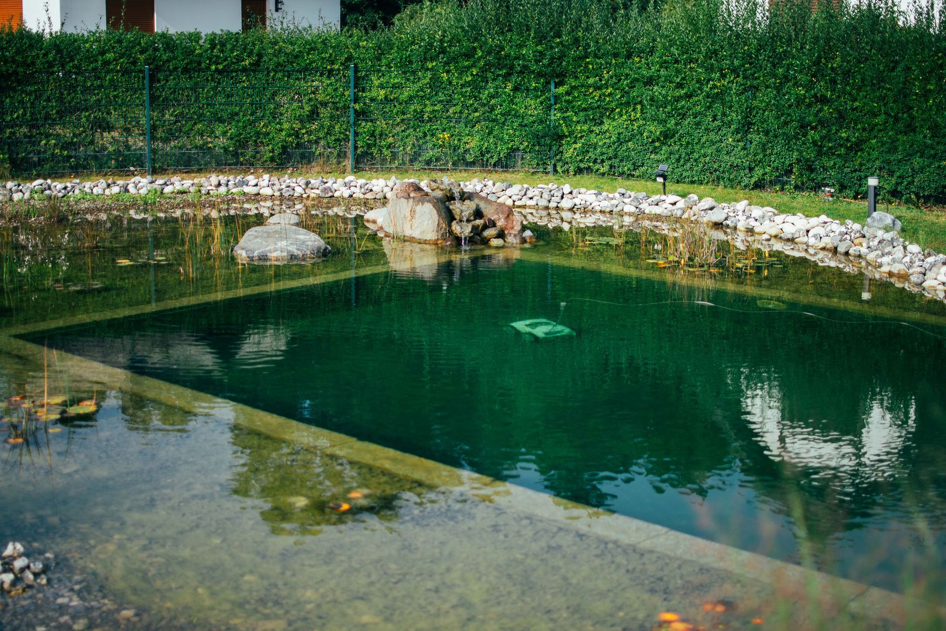 Ein grüner, rechteckiger Teich mit Felsen, einem Brunnen und einer Hecke im Hintergrund.