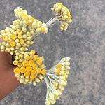 Les séances de sophrologie