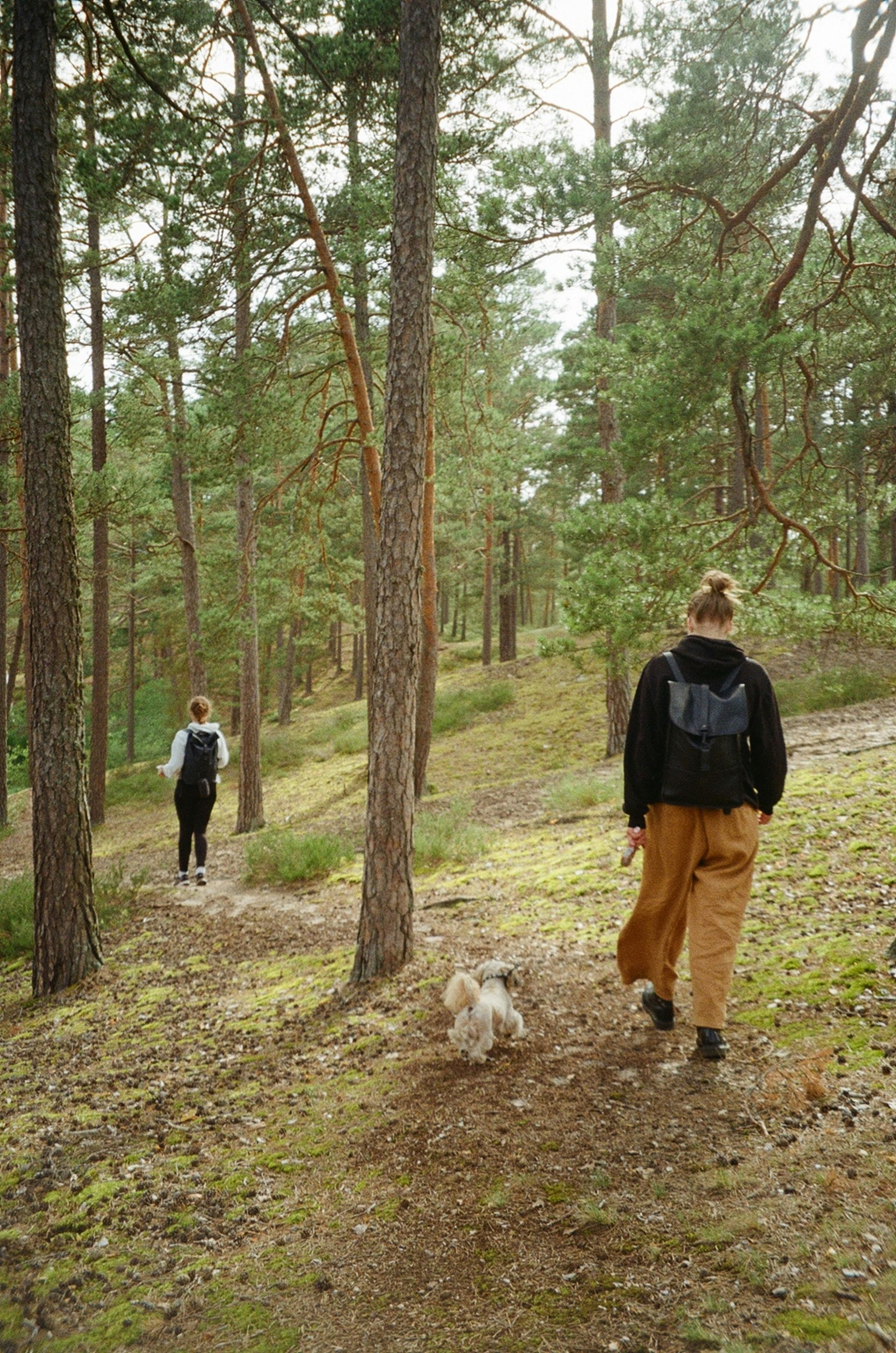 Natur Pur in den Weiden der WEIDESUITES Stubaital - Adults only