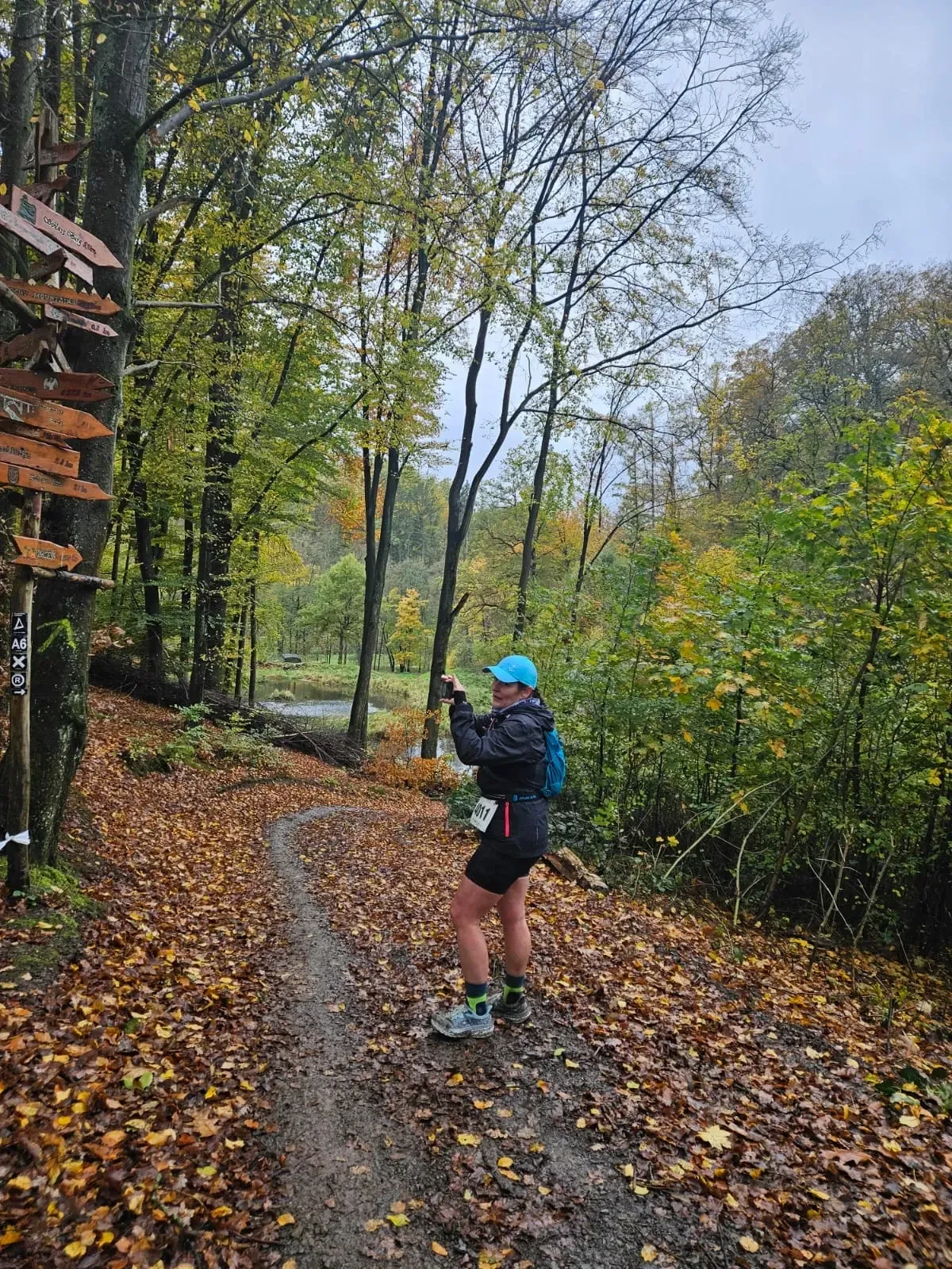 Eine Person auf einem Pfad, die Stöcke hält, ist von Herbstlaub und Bäumen umgeben.