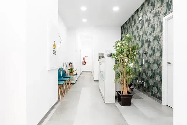 Hay una planta en el medio del pasillo.
