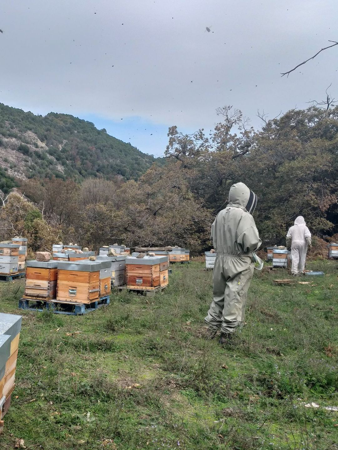 Équipe d'apiculteurs devant des ruches