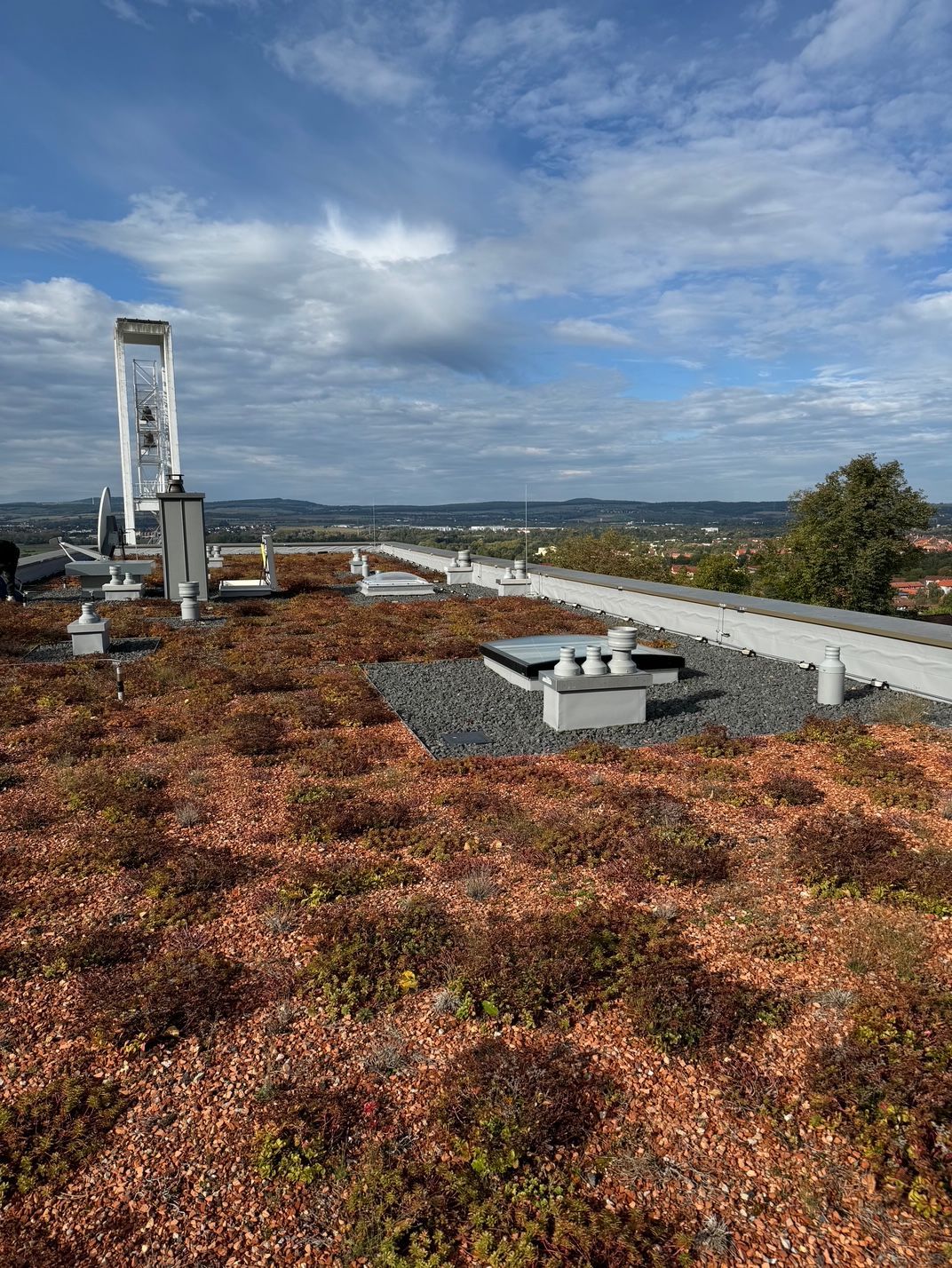 Flachdach mit Bepflanzung