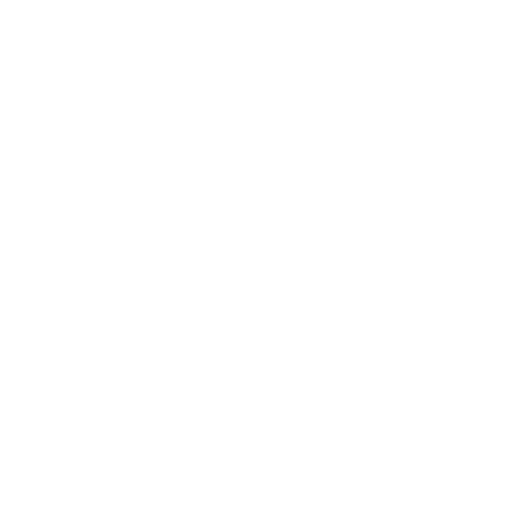 Icon Rollstuhl Autohaus Junik GmbH