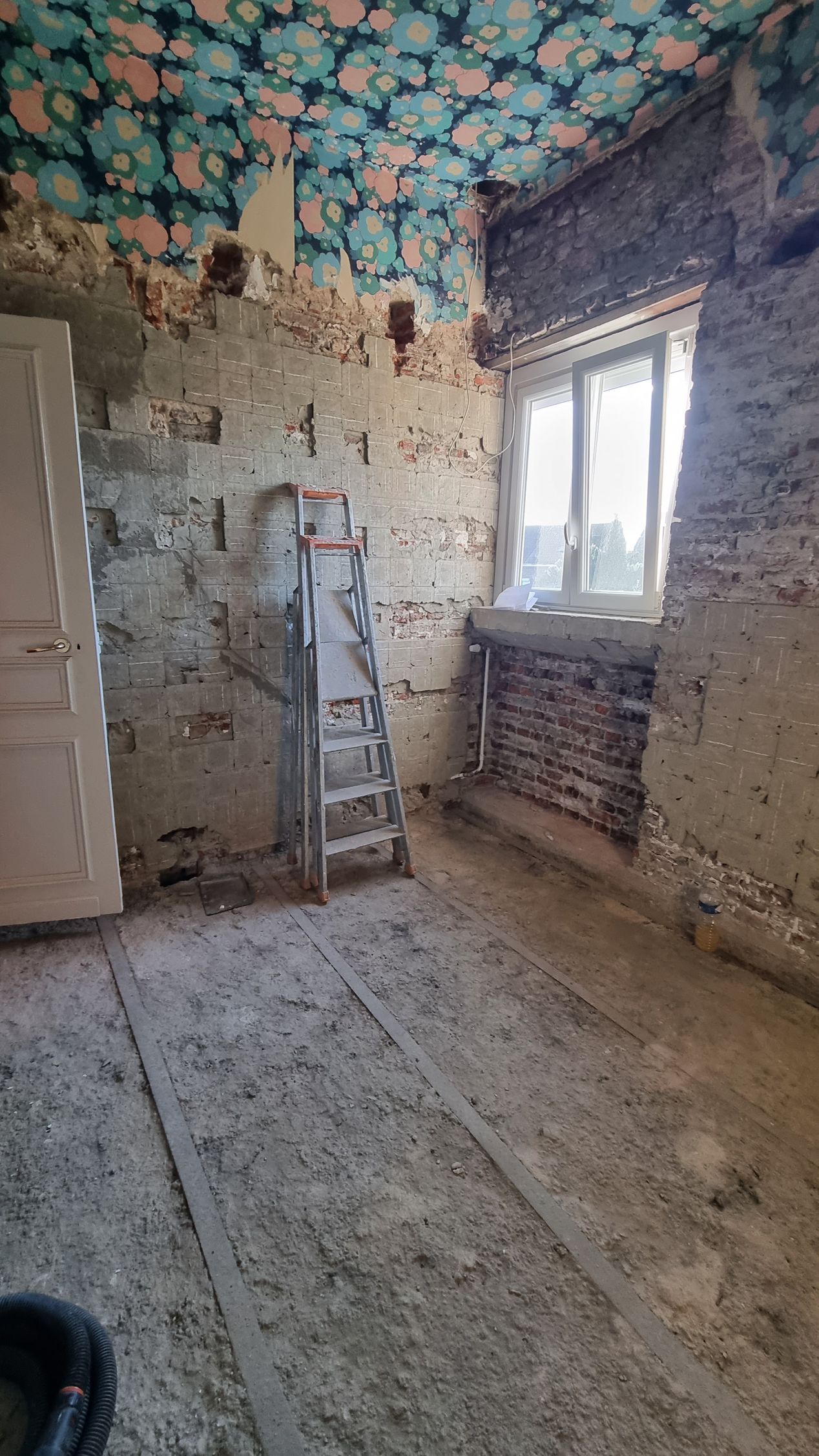 Pièce abandonnée aux murs décrépis, plafond fleuri, échelle et lumière naturelle provenant d'une fenêtre.