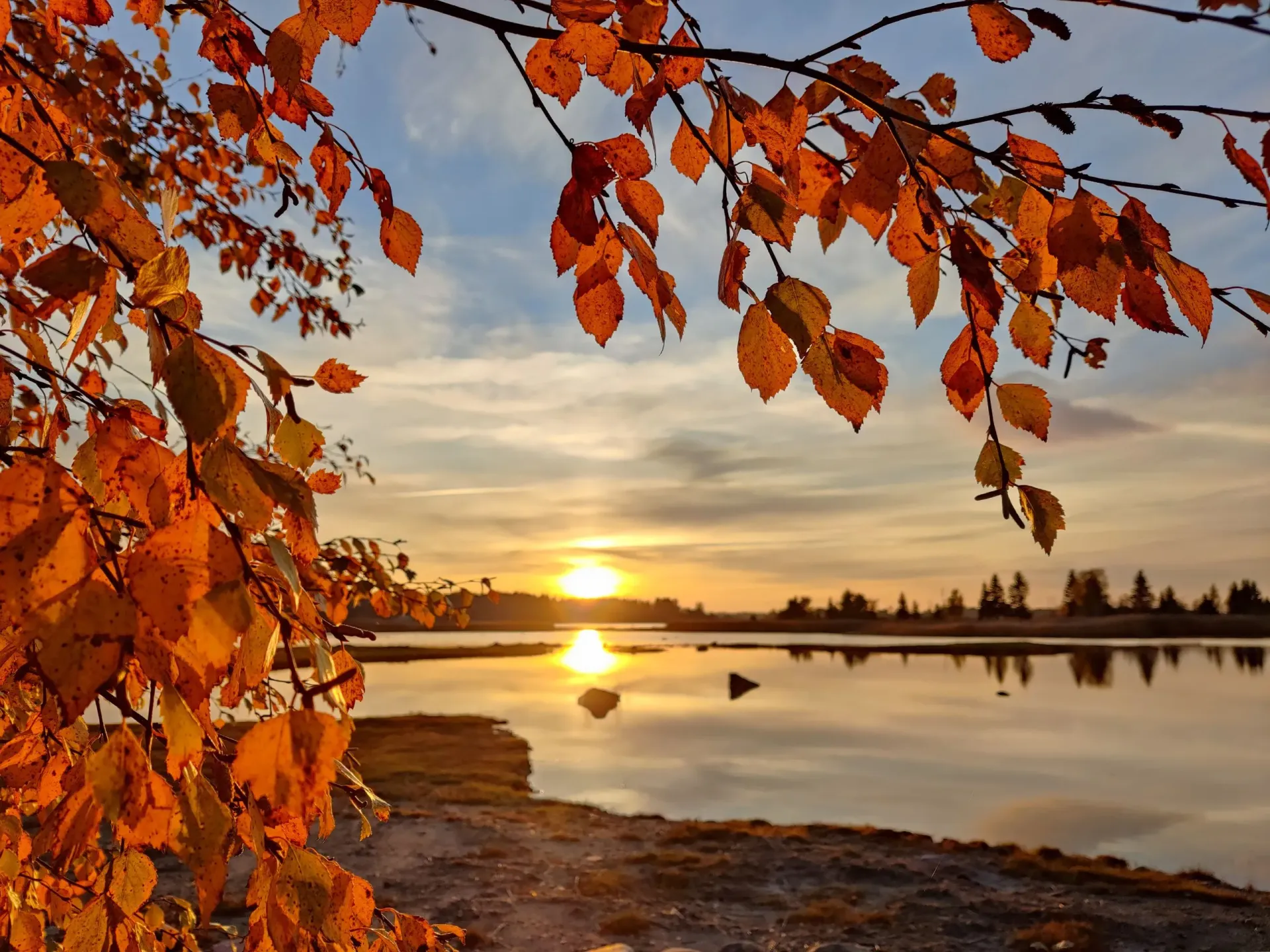 Mustasaaren apteekki