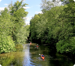 Zwei Personen in Kajaks auf einem von Bäumen umgebenen Fluss