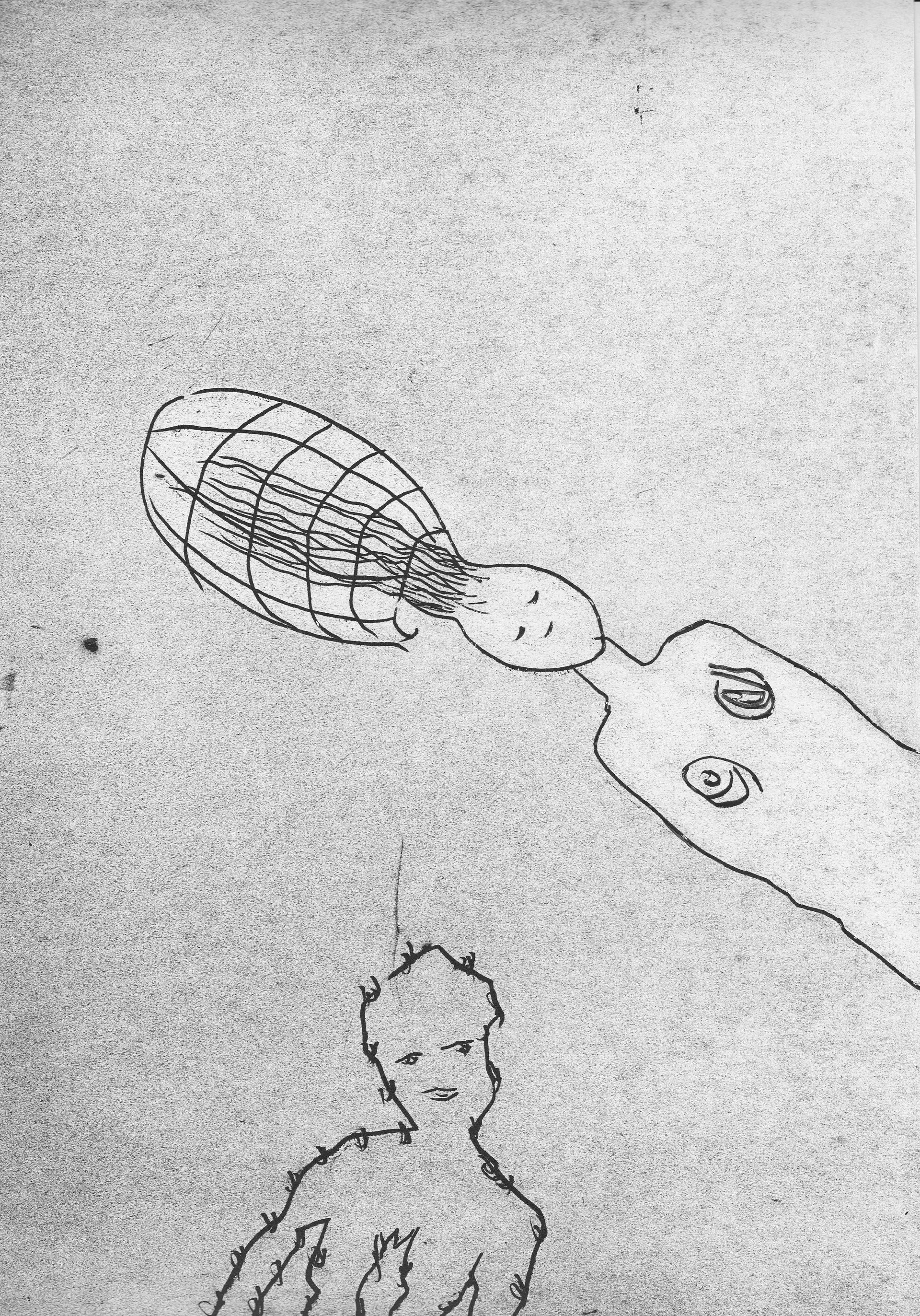 Grafik 5