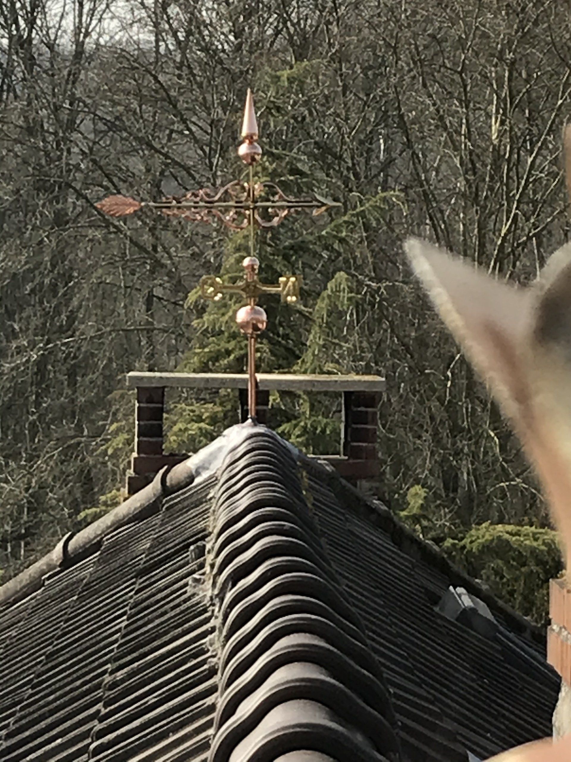 Étanchéité de toit