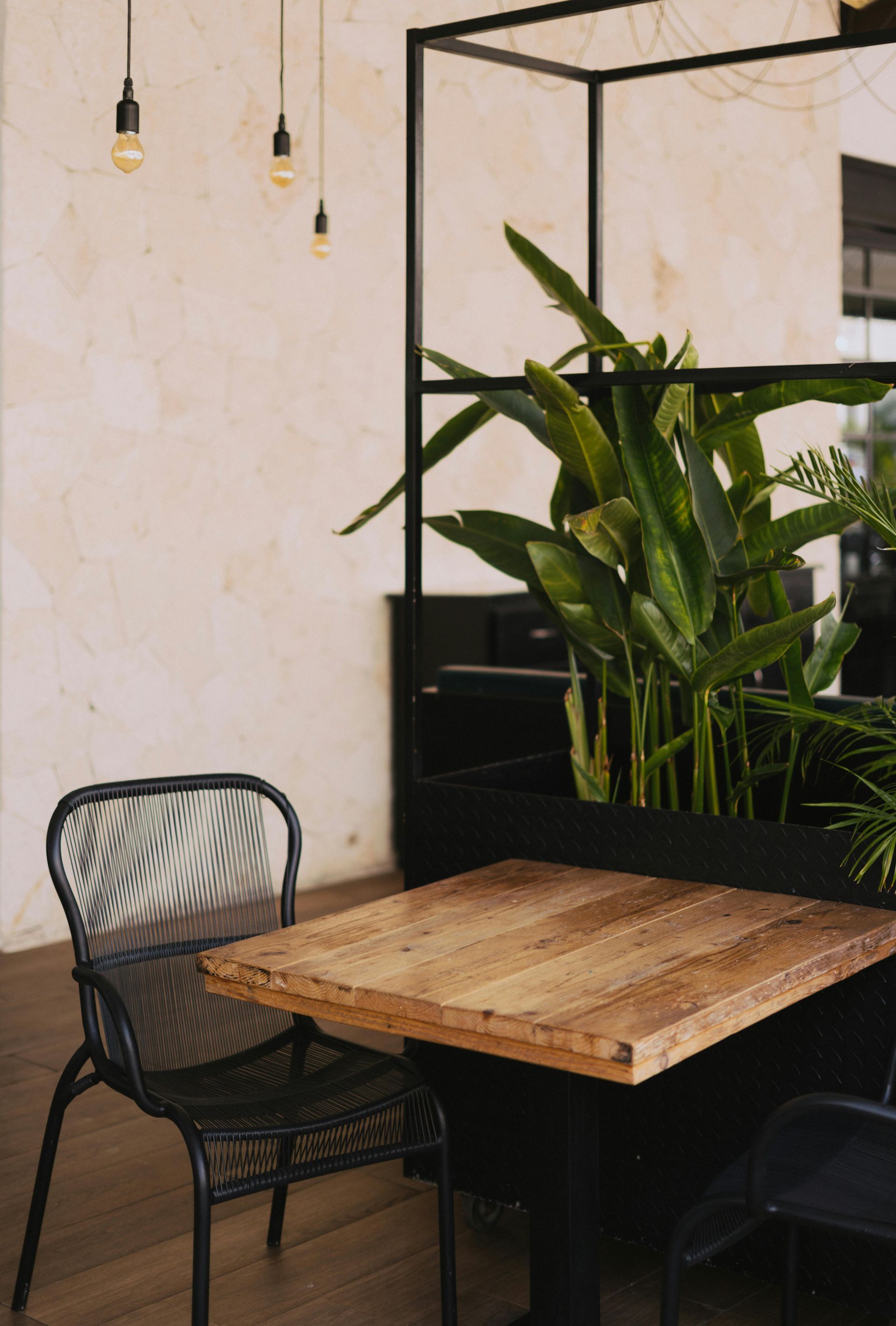 Una mesa y sillas de madera en una habitación con una planta en la esquina.
