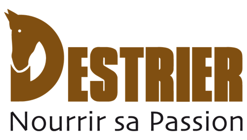 Logo de Destrier