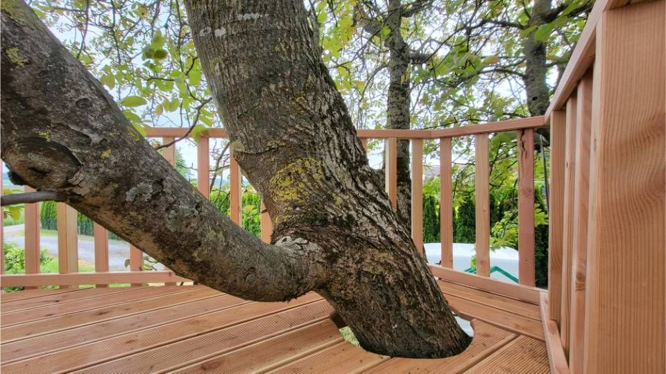 Holzkonstruktion von Thomas Bier Zimmergeschäft