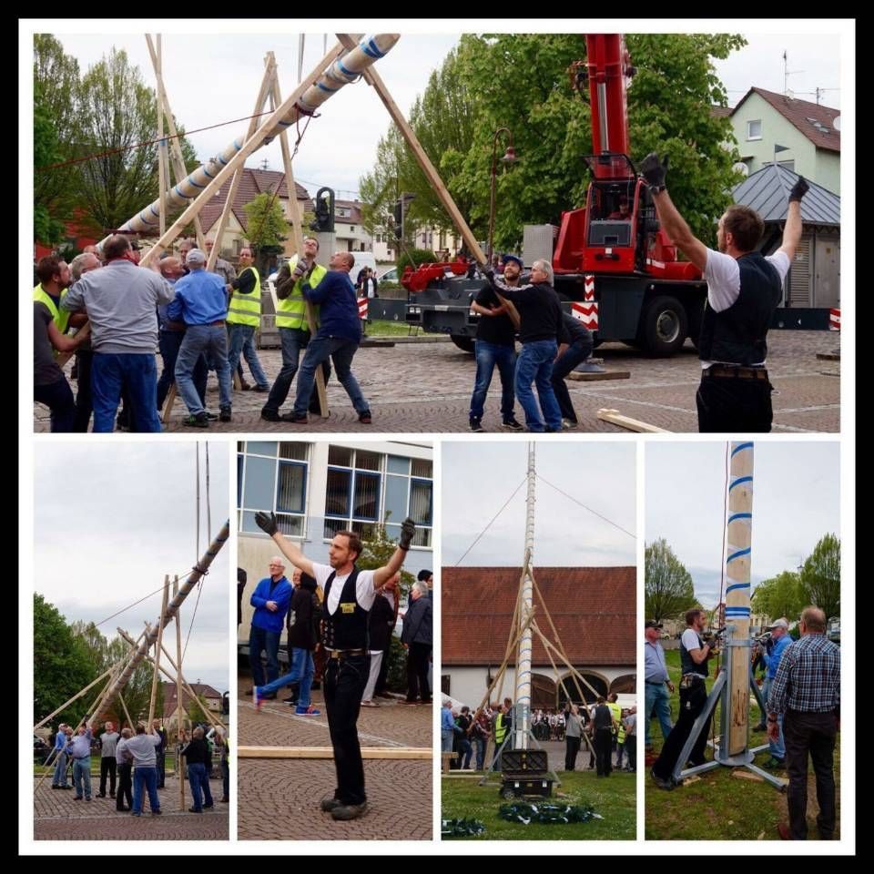 Maibaum von Thomas Bier Zimmergeschäft