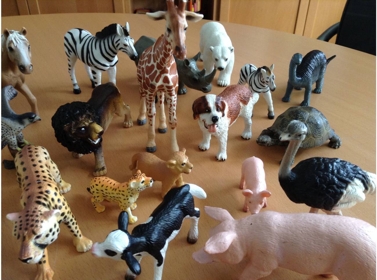 Praxis Onasch - Tiermodelle