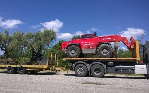 Camion transportant un véhicule de chantier rouge et 2 oliviers