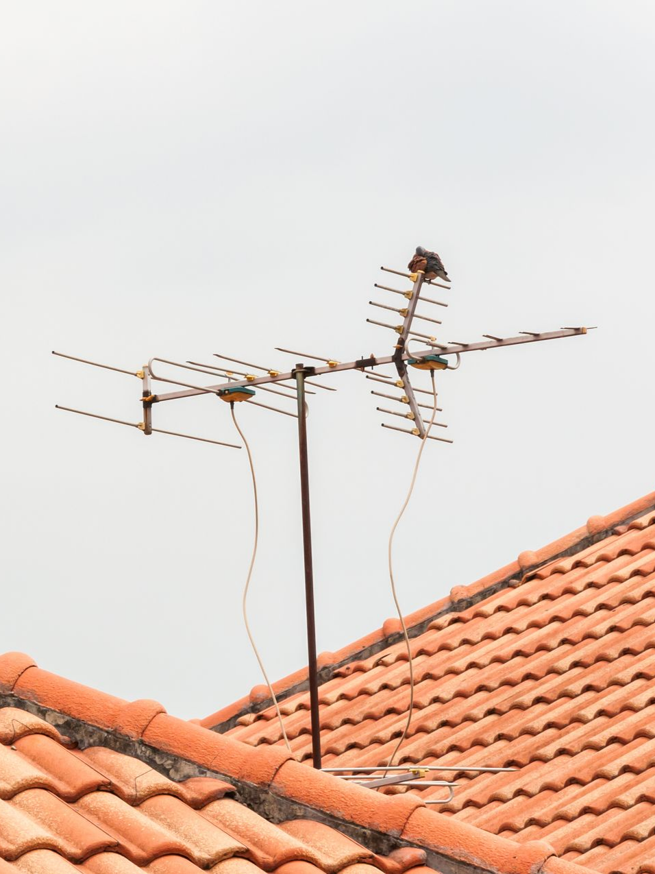 Antenne TV