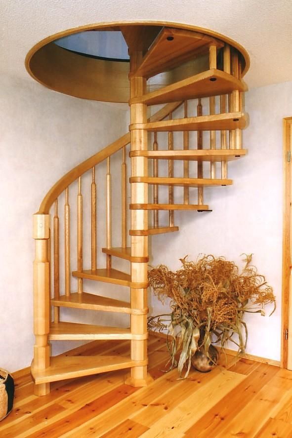 Eine hölzerne Wendeltreppe mit einer Pflanze in der Ecke