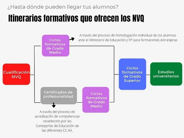 A diagram of the itinerarios formativos que ofrecen los nvq