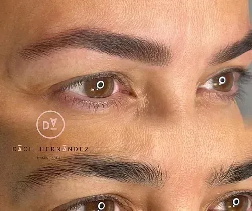 Primer plano de ojos y cejas. Las cejas marrones están delineadas y rellenas. Los ojos son marrones y tienen una mirada ligeramente ascendente.