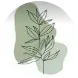 Un dibujo de una planta con hojas sobre un fondo verde.