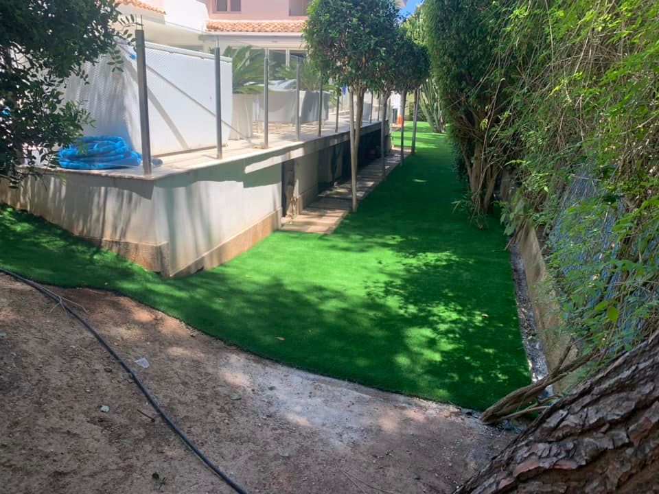 Un exuberante césped verde está rodeado de árboles y una casa.