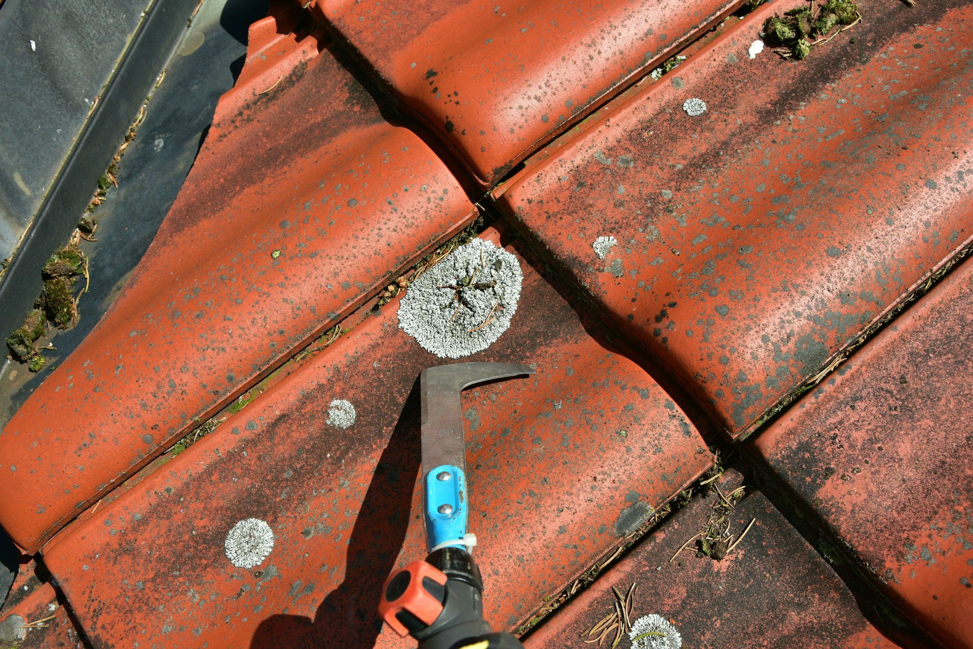 Personne utilisant un outil pour gratter la mousse sur des tuiles orange.