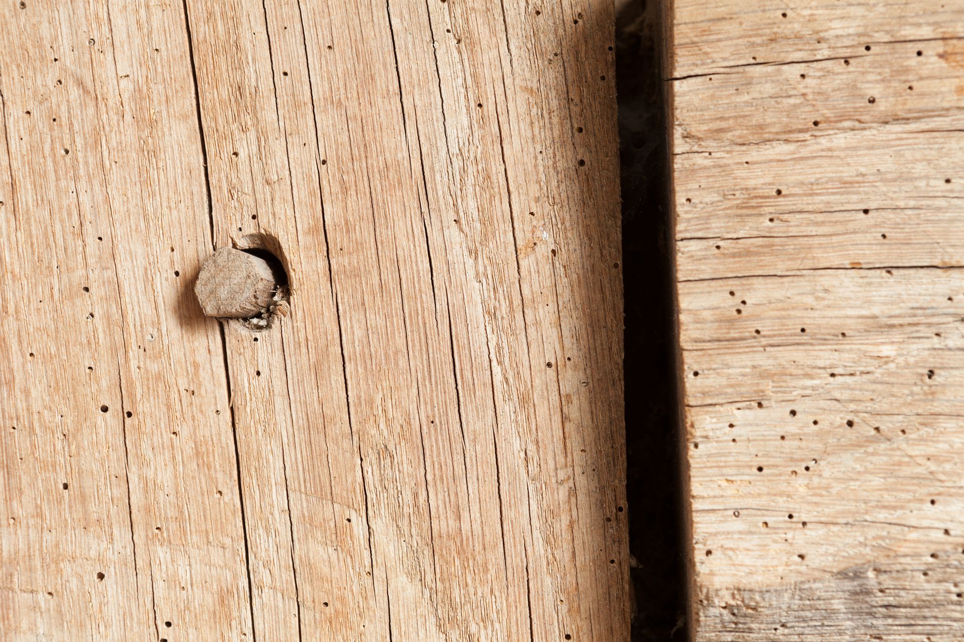 Gros plan de planches de bois patinées avec un seul clou et de petits trous.