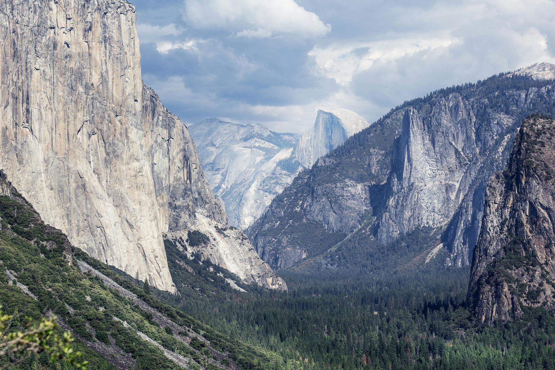 Mountains and forest in Yosemite Valley under a cloudy sky.