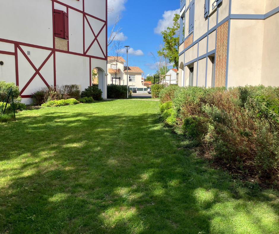Pelouse verdoyante entre deux bâtiments à façades à colombages, sous un ciel bleu.