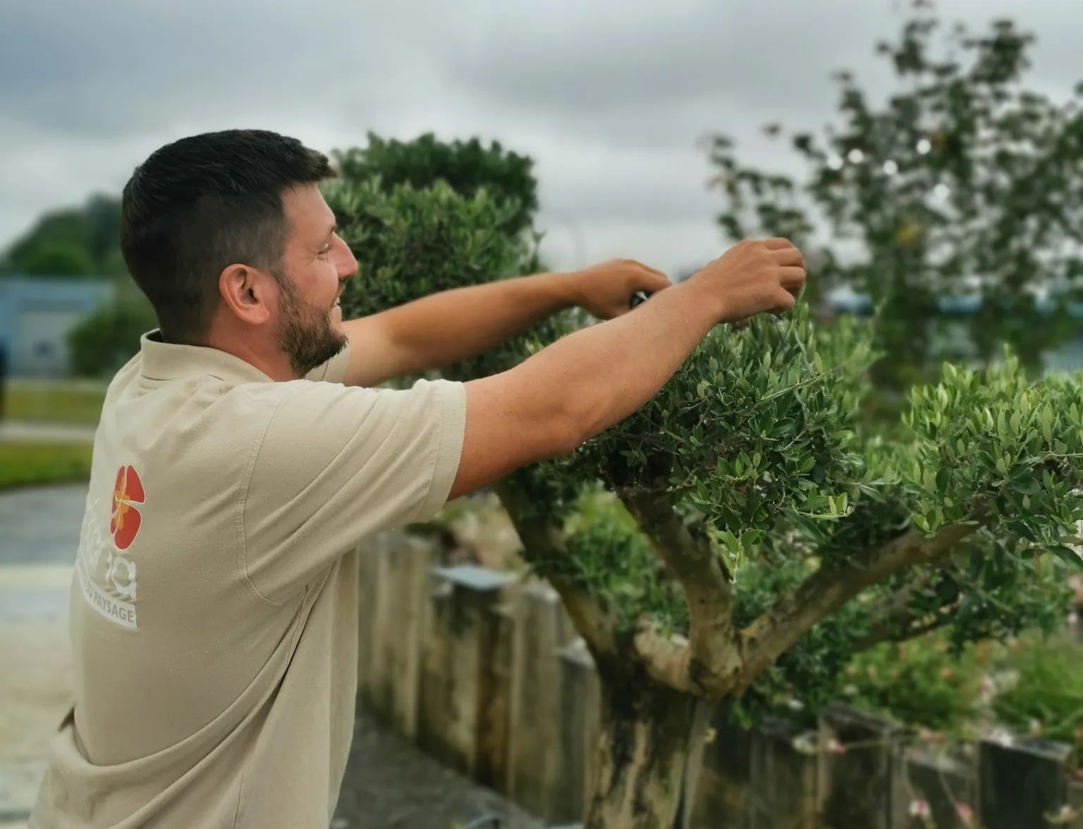Ouvrier paysagiste en train de couper au sécateur un buisson.