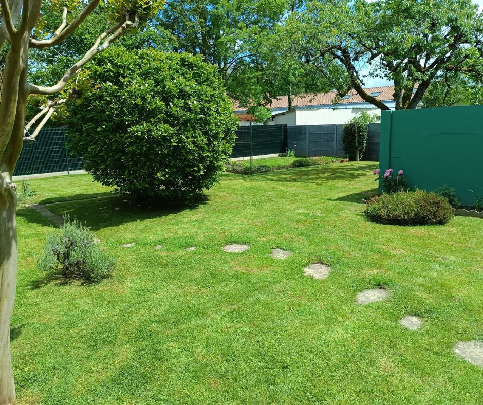 Pelouse verte avec pas japonais, arbustes et clôture verte par une journée ensoleillée.