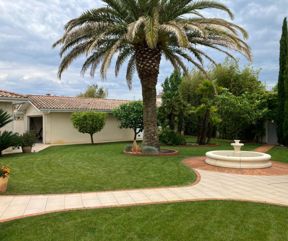 Pelouse verdoyante luxuriante avec un palmier, une petite fontaine et une allée pavée menant à un bâtiment aux murs beiges et au toit de tuiles en terre cuite.