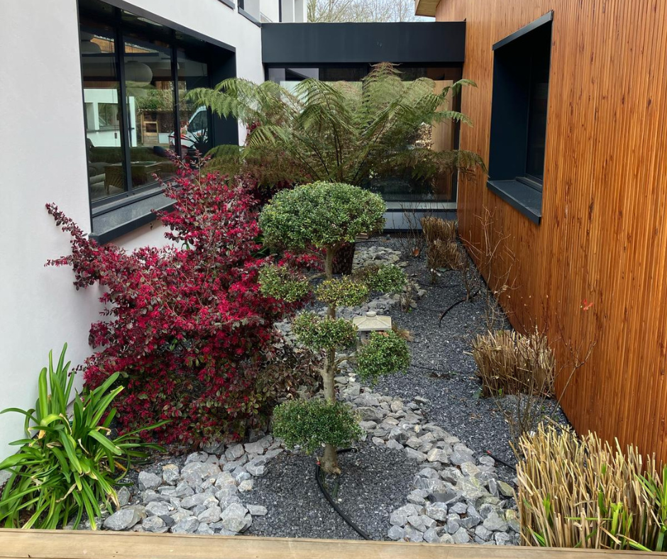 Petit jardin extérieur moderne avec diverses plantes, des rochers sombres et un mur en bois.
