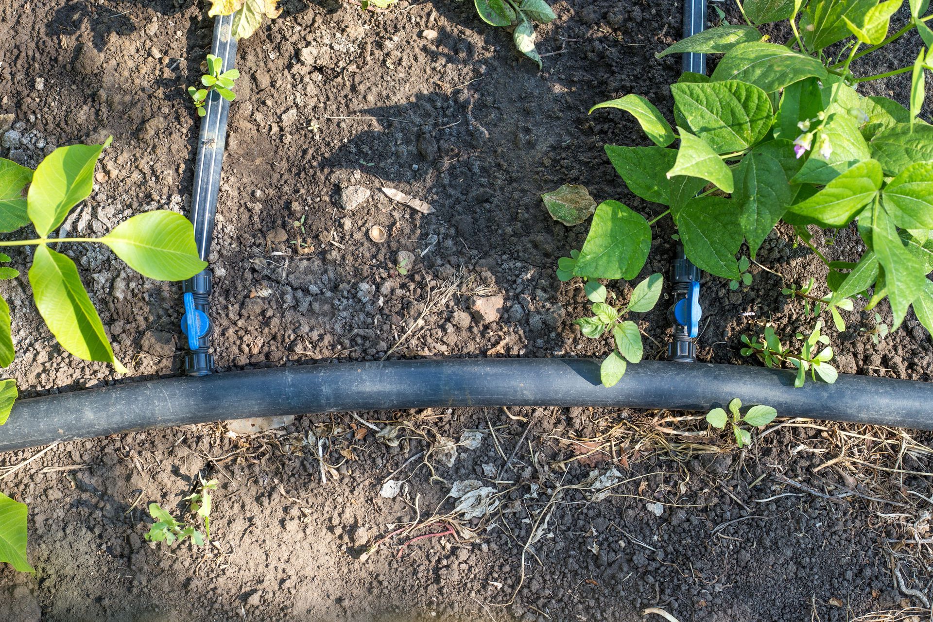 Tuyaux pour micro-irrigation