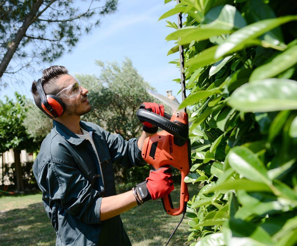 Jardinier tenant un taille-haie entre ses mains.