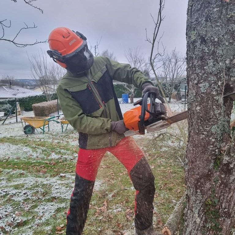 Abattage d'un arbre trop âgé à Cazaux.