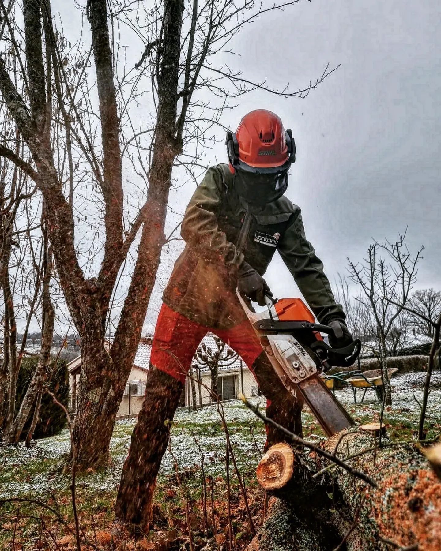 Personne en train de tronçonner un arbre