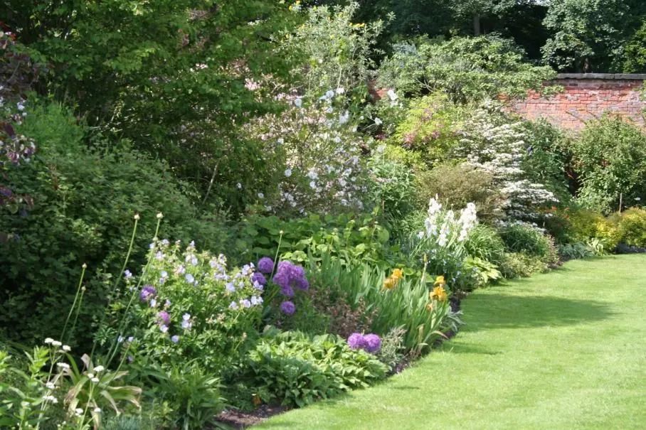 Jardin d'abondance de plantes.